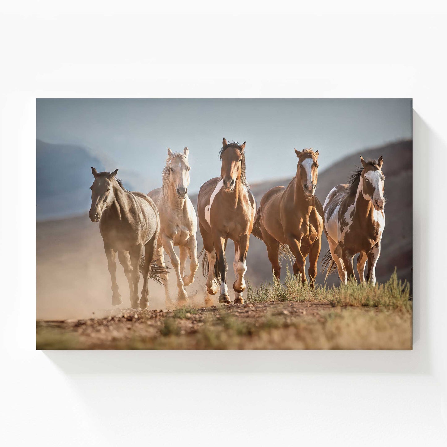 [Color:Stretched Canvas], Picture of art
