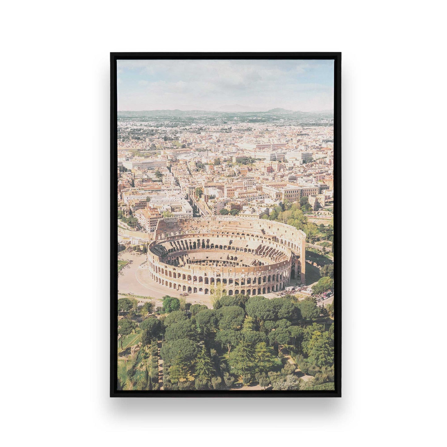 [Color:Satin Black], Picture of art in a Satin Black frame