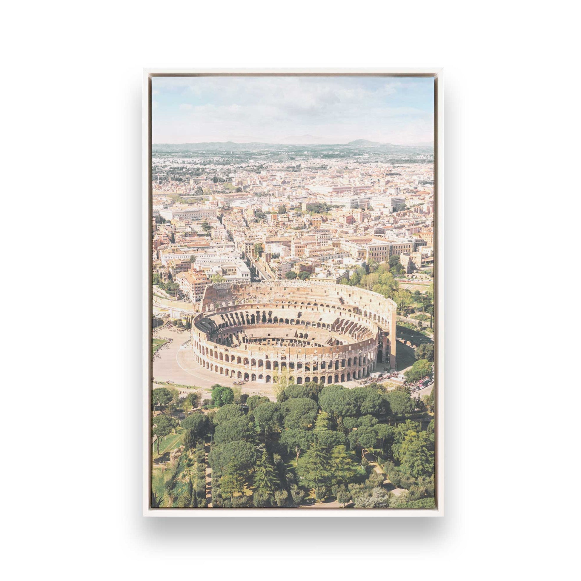 [Color:Opaque White], Picture of art in a White frame
