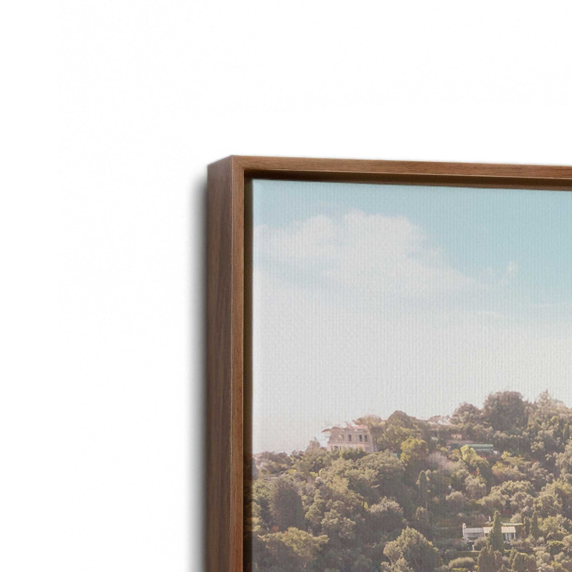 [Color:Walnut], Picture of art in a Walnut frame at an angle
