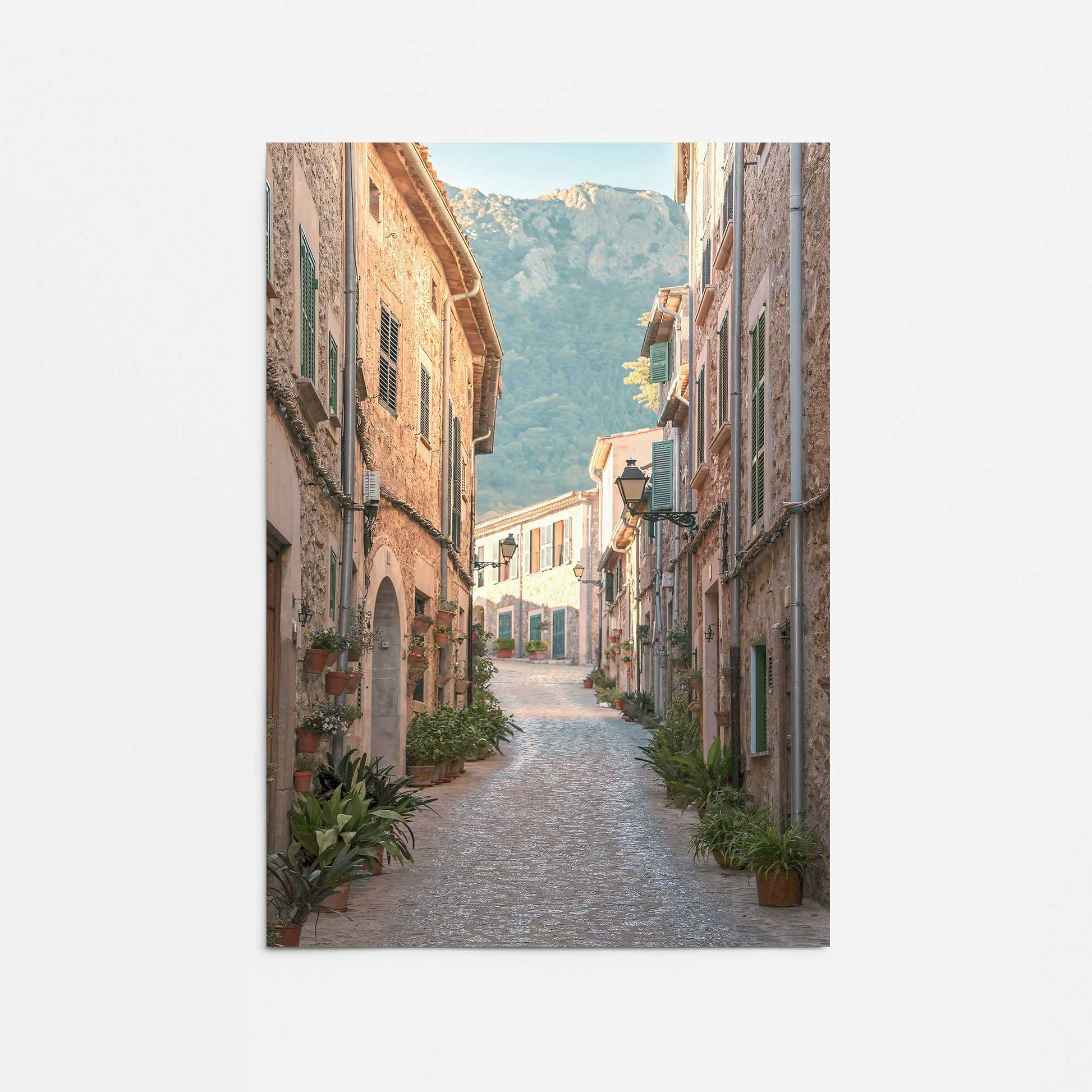 [Color:Rolled Print], Picture of close up of art