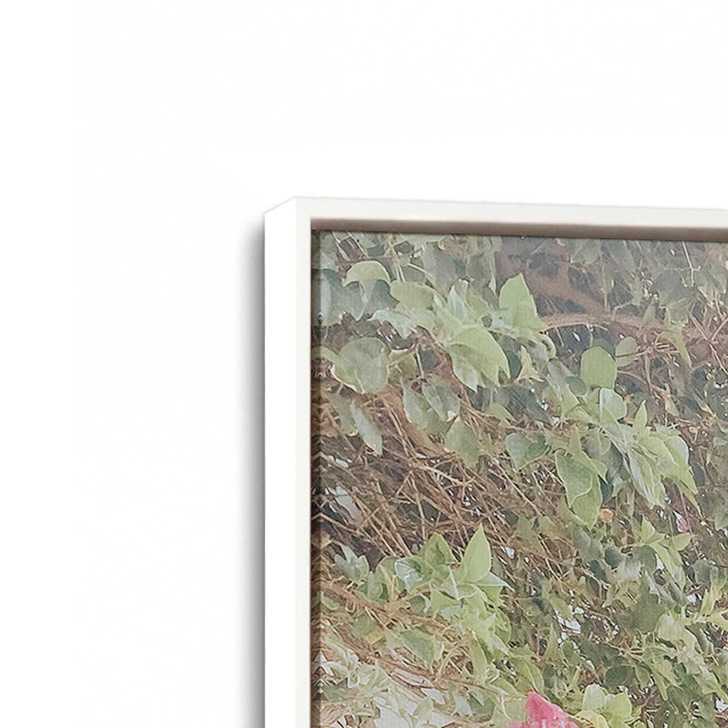 [Color:Opaque White], Picture of art in a White frame at an angle