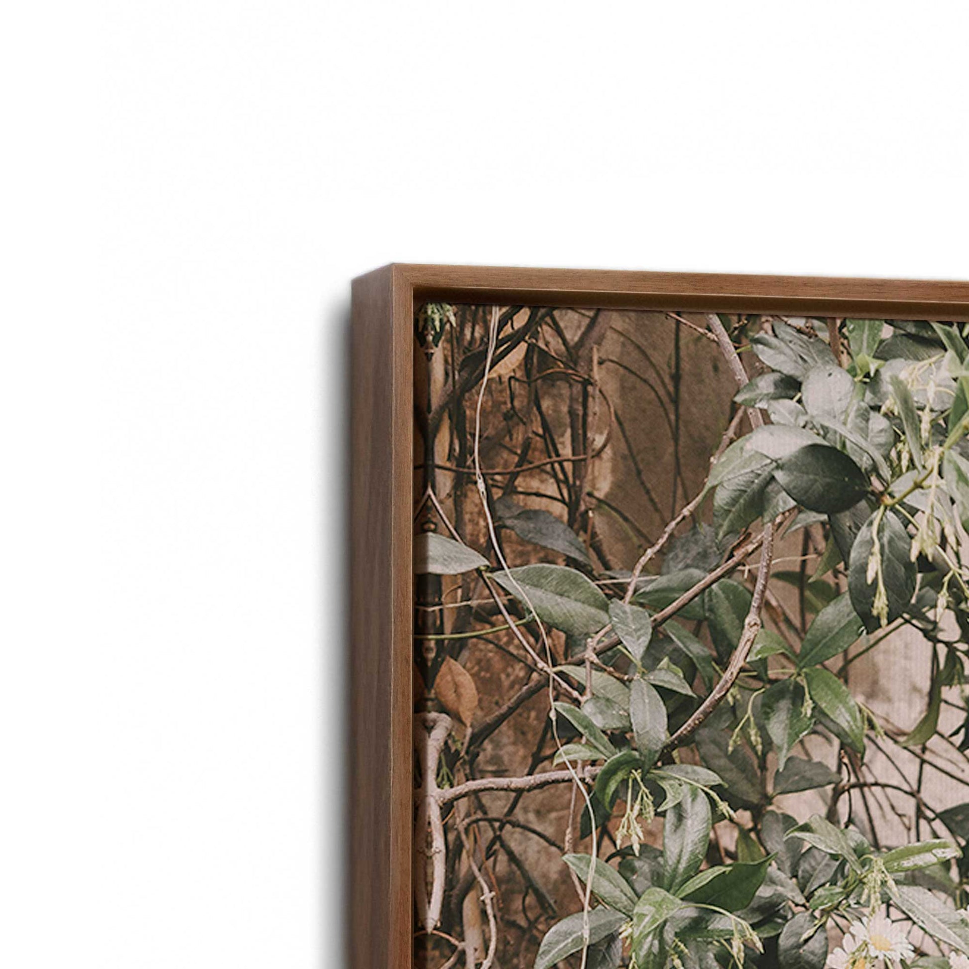 [Color:Walnut], Picture of art in a Walnut frame at an angle