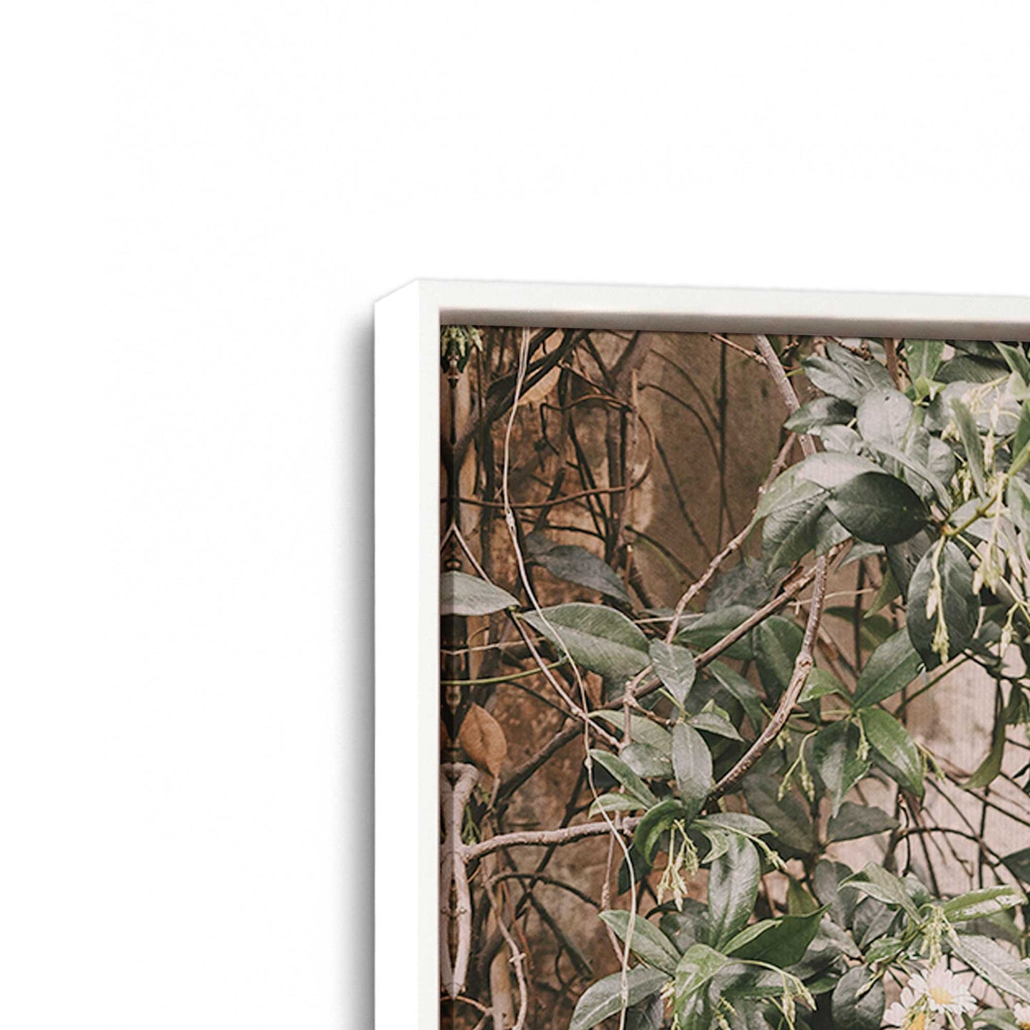 [Color:Opaque White], Picture of art in a White frame at an angle