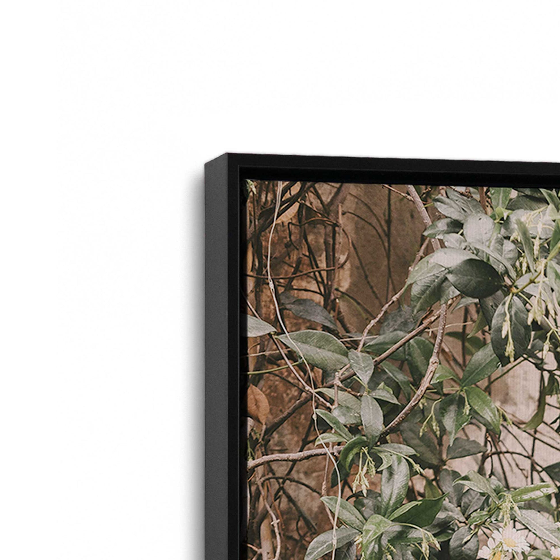 [Color:Satin Black], Picture of art in a Satin Black frame at an angle
