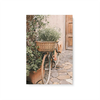 [Color:Stretched Canvas], Picture of art