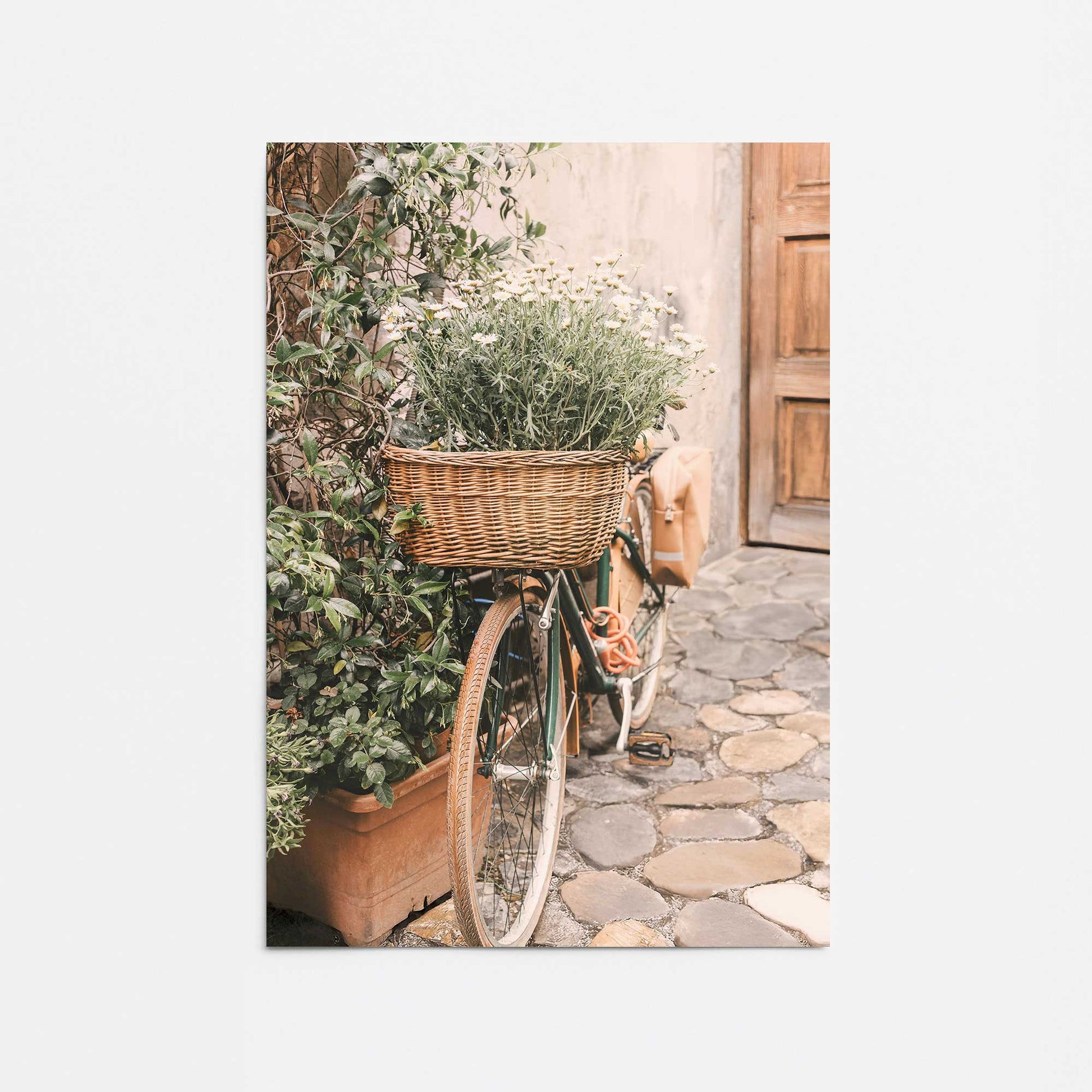 [Color:Rolled Print], Picture of close up of art