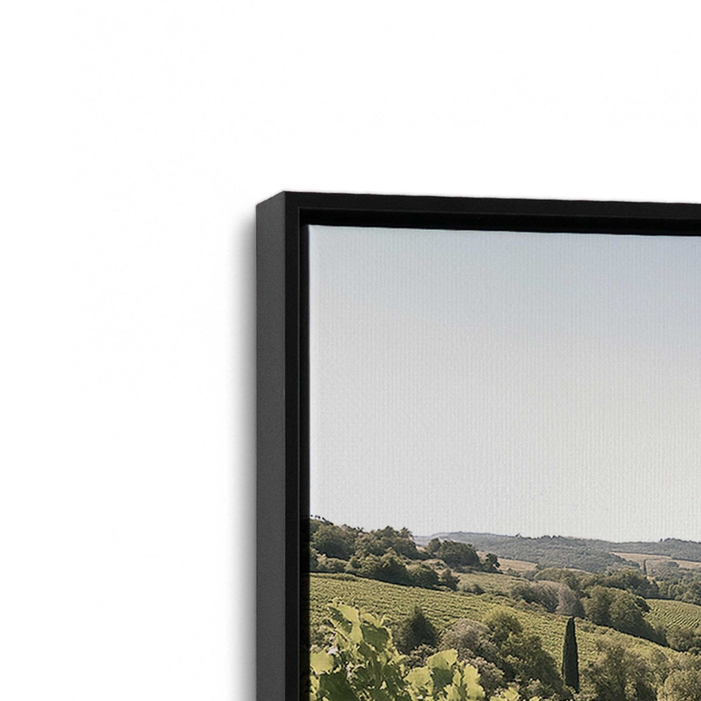 [Color:Satin Black], Picture of art in a Satin Black frame at an angle