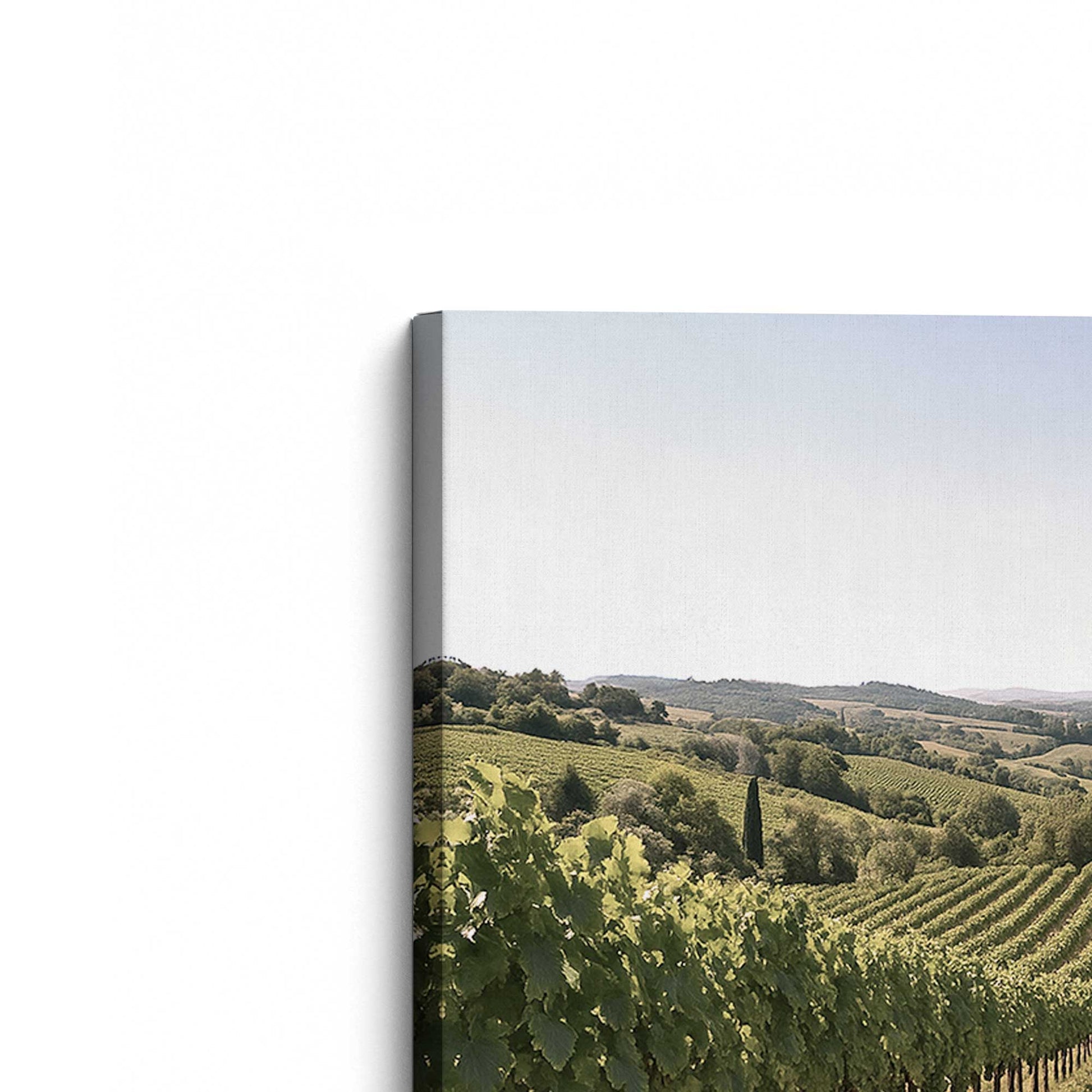 [Color:Stretched Canvas], Picture of the corner of the art