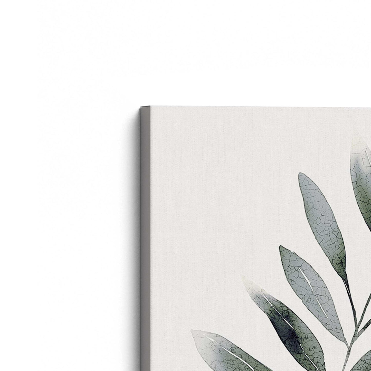 [Color:Stretched Canvas], Picture of the corner of the art