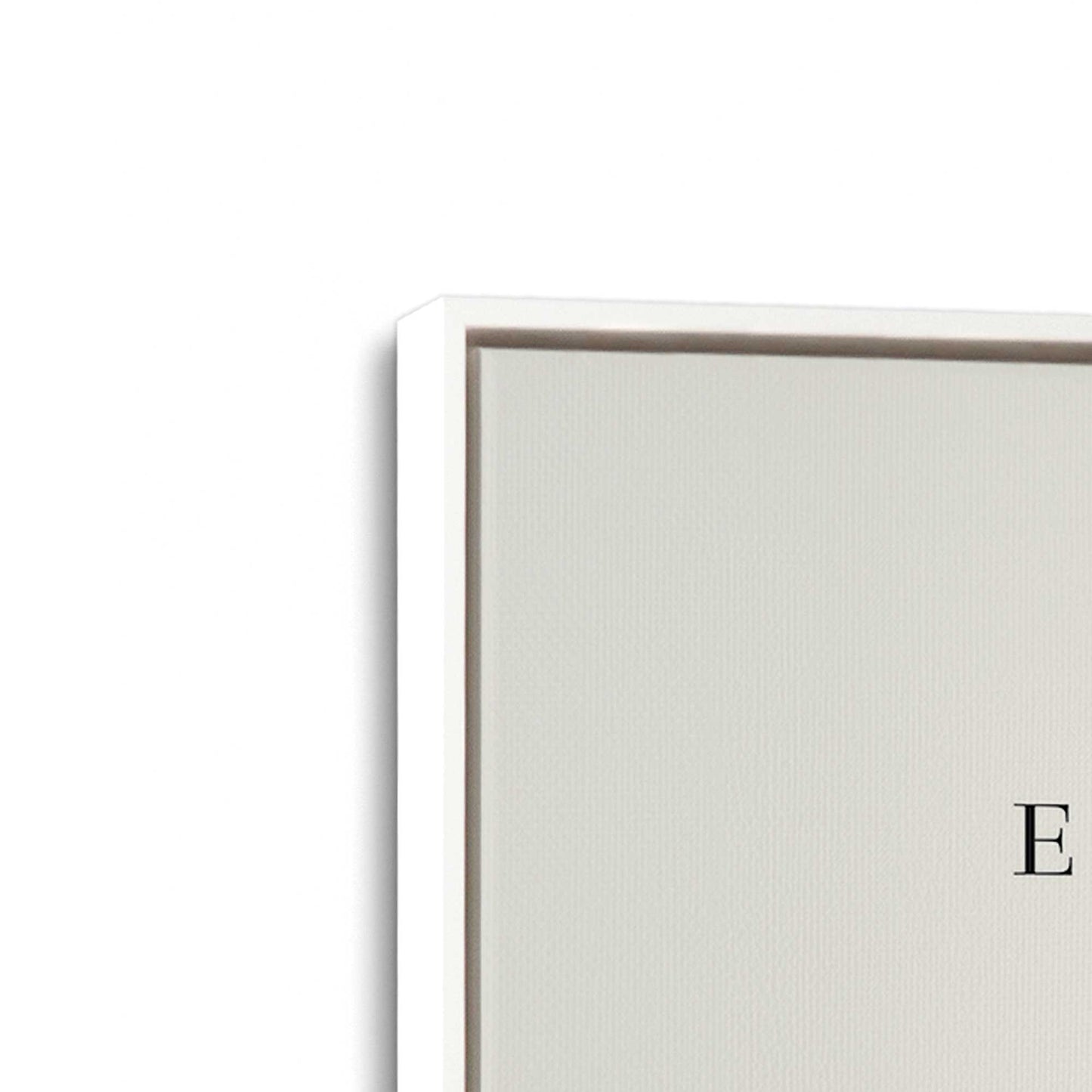 [Color:Opaque White], Picture of art in a White frame at an angle