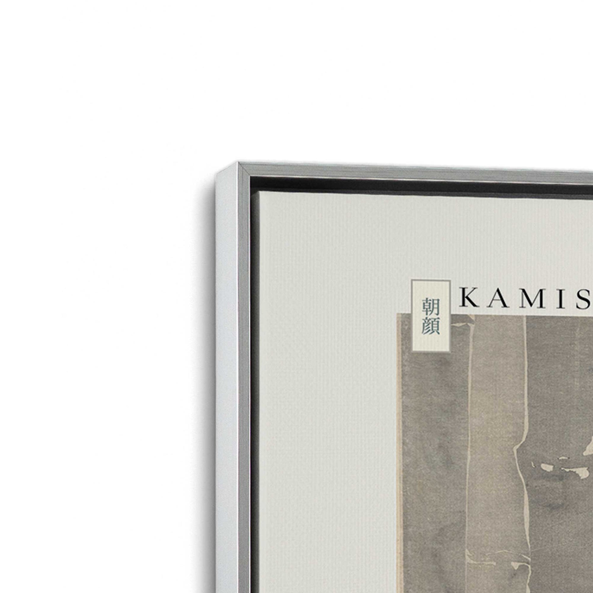 [Color:Polished Chrome], Picture of art in a Polished Chrome frame at an angle