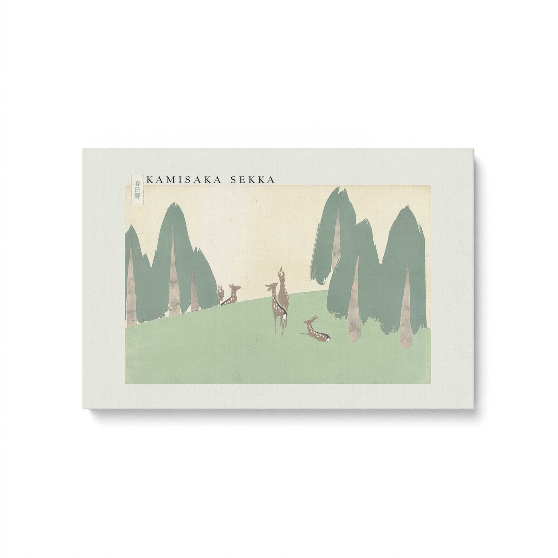 [Color:Stretched Canvas], Picture of art