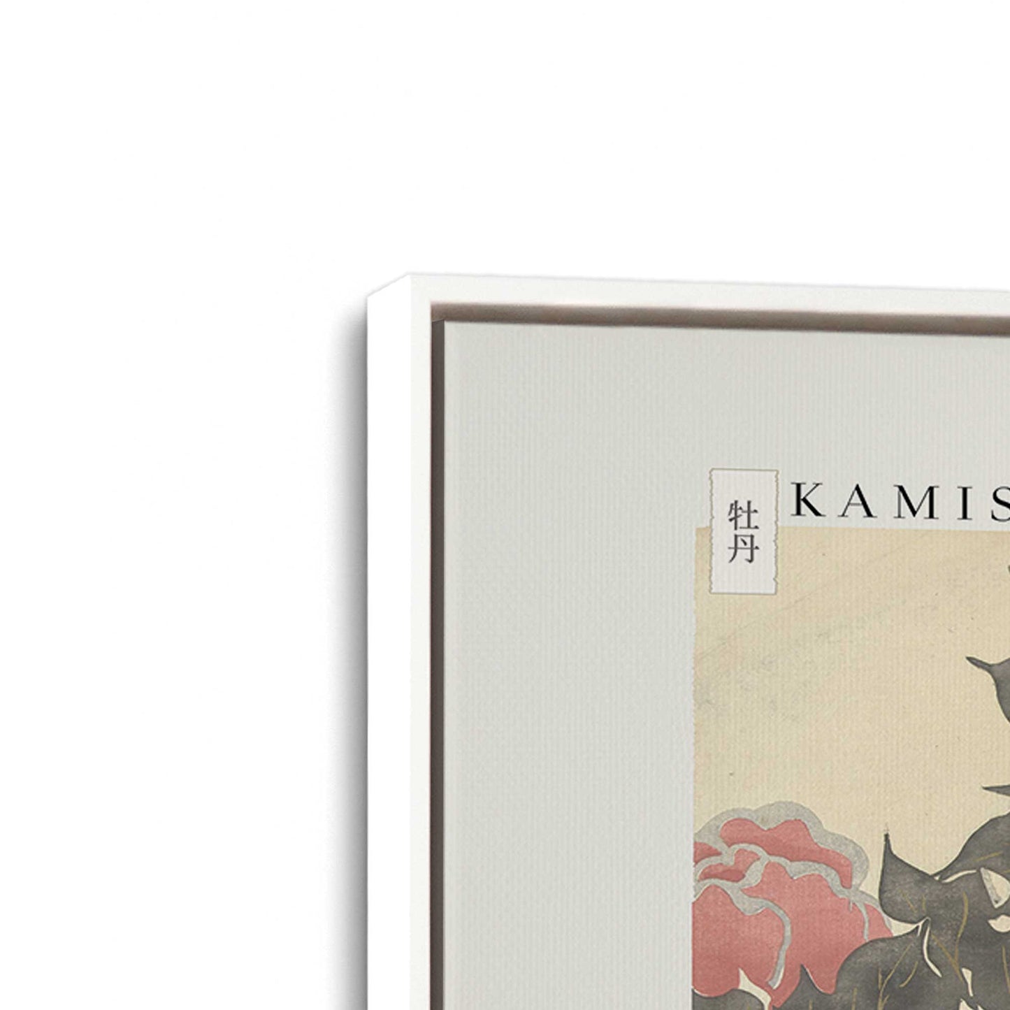 [Color:Opaque White], Picture of art in a White frame at an angle