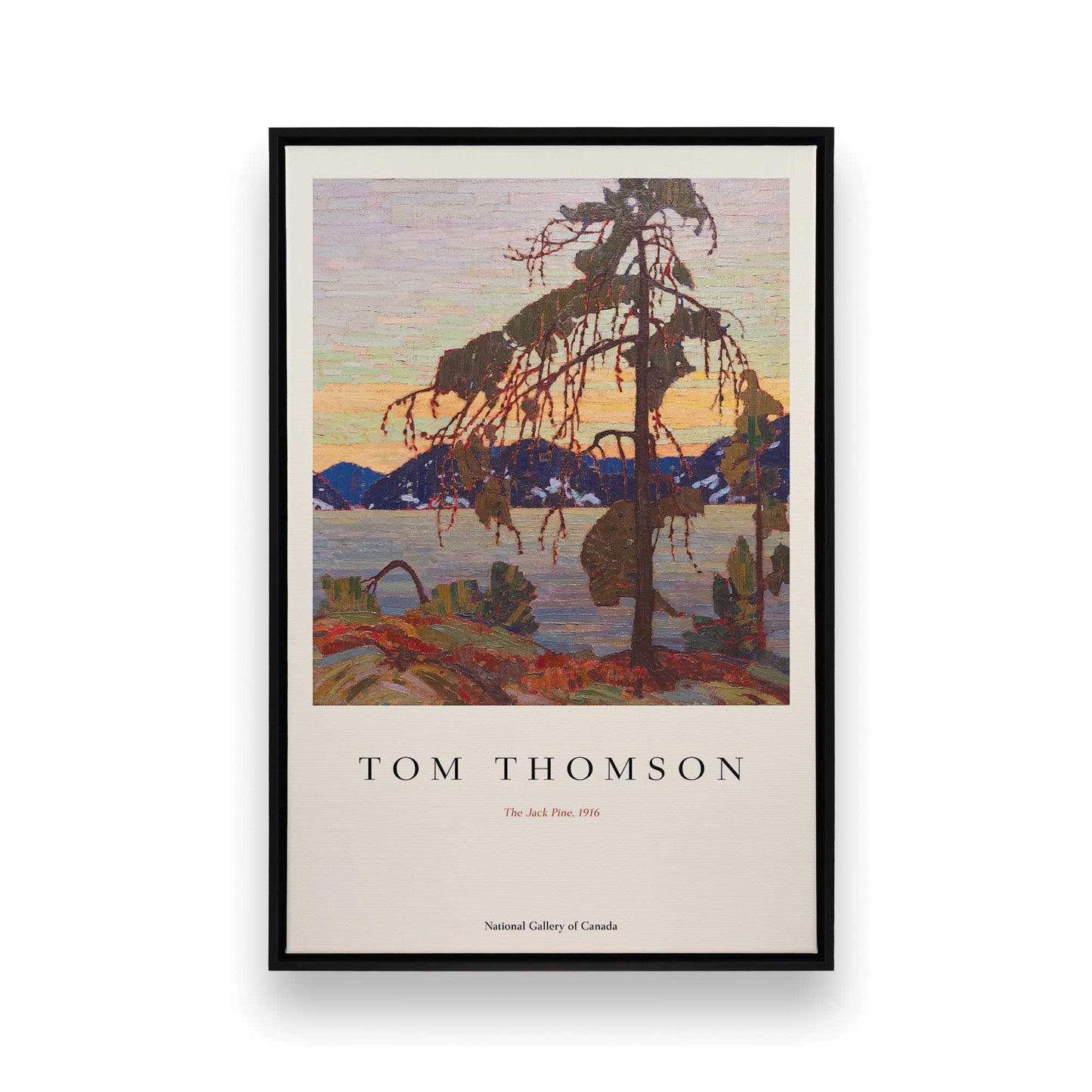 [SPECIAL],[Color:Satin Black],