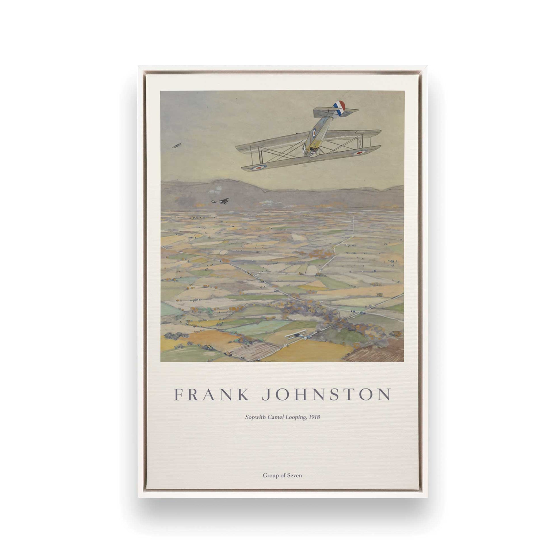 [Color:Opaque White], Picture of art in a White frame