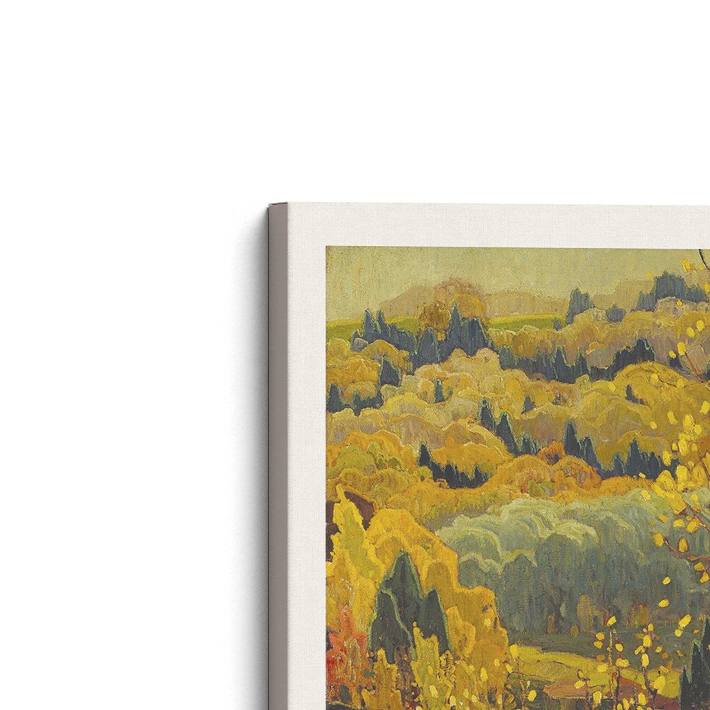 [Color:Stretched Canvas], Picture of the corner of the art