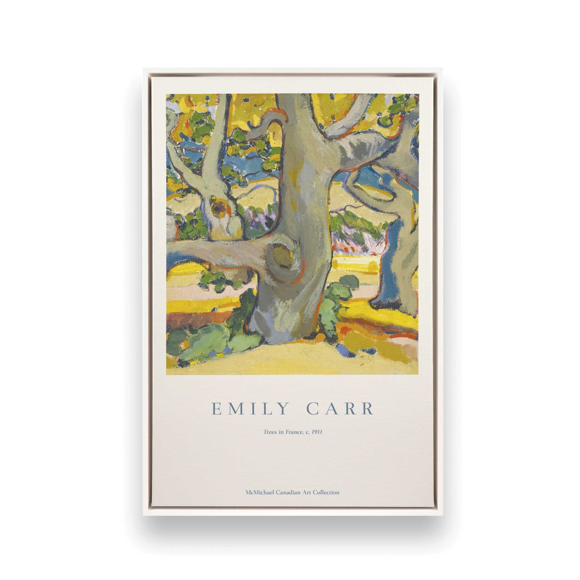 [Color:Opaque White], Picture of art in a White frame