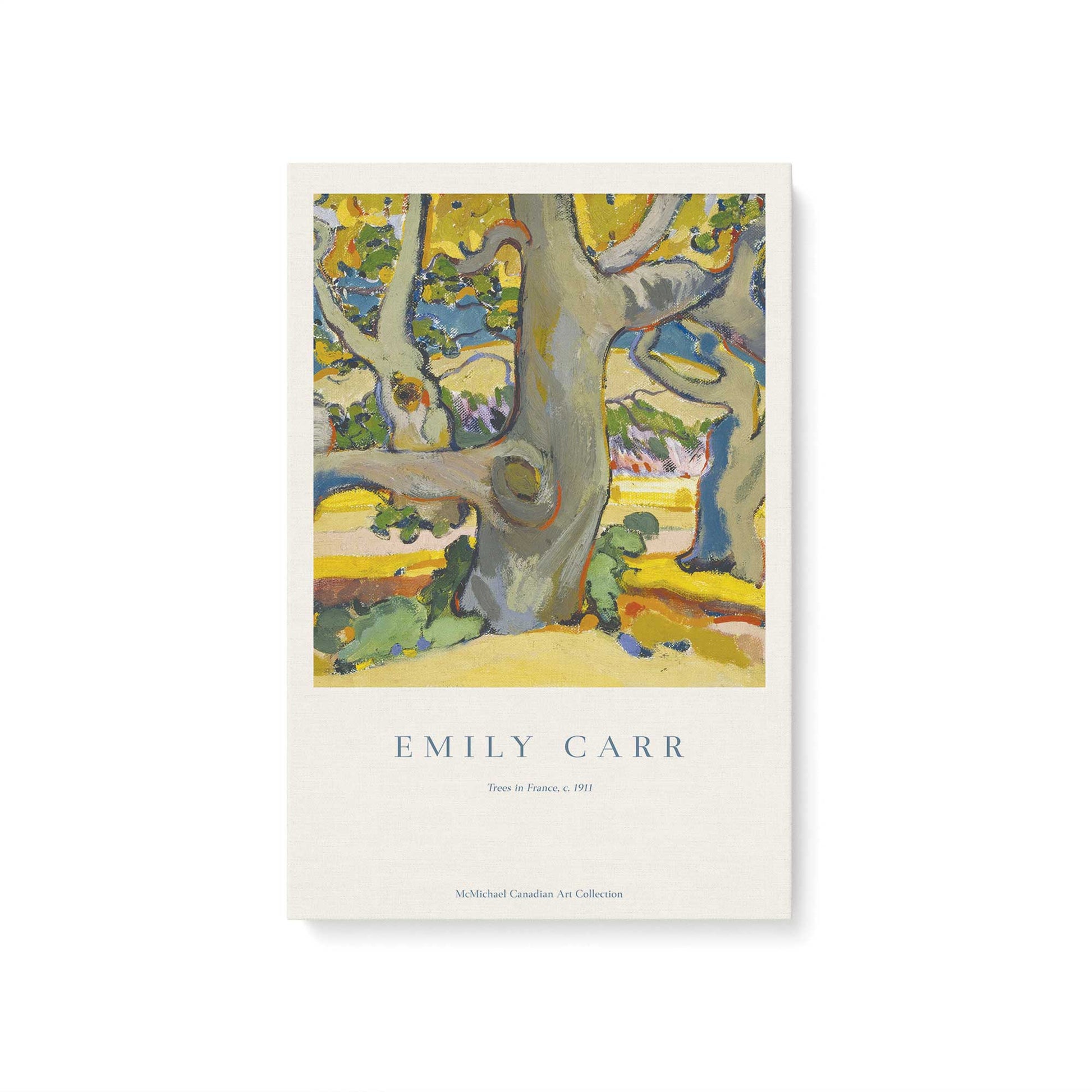 [Color:Stretched Canvas], Picture of art