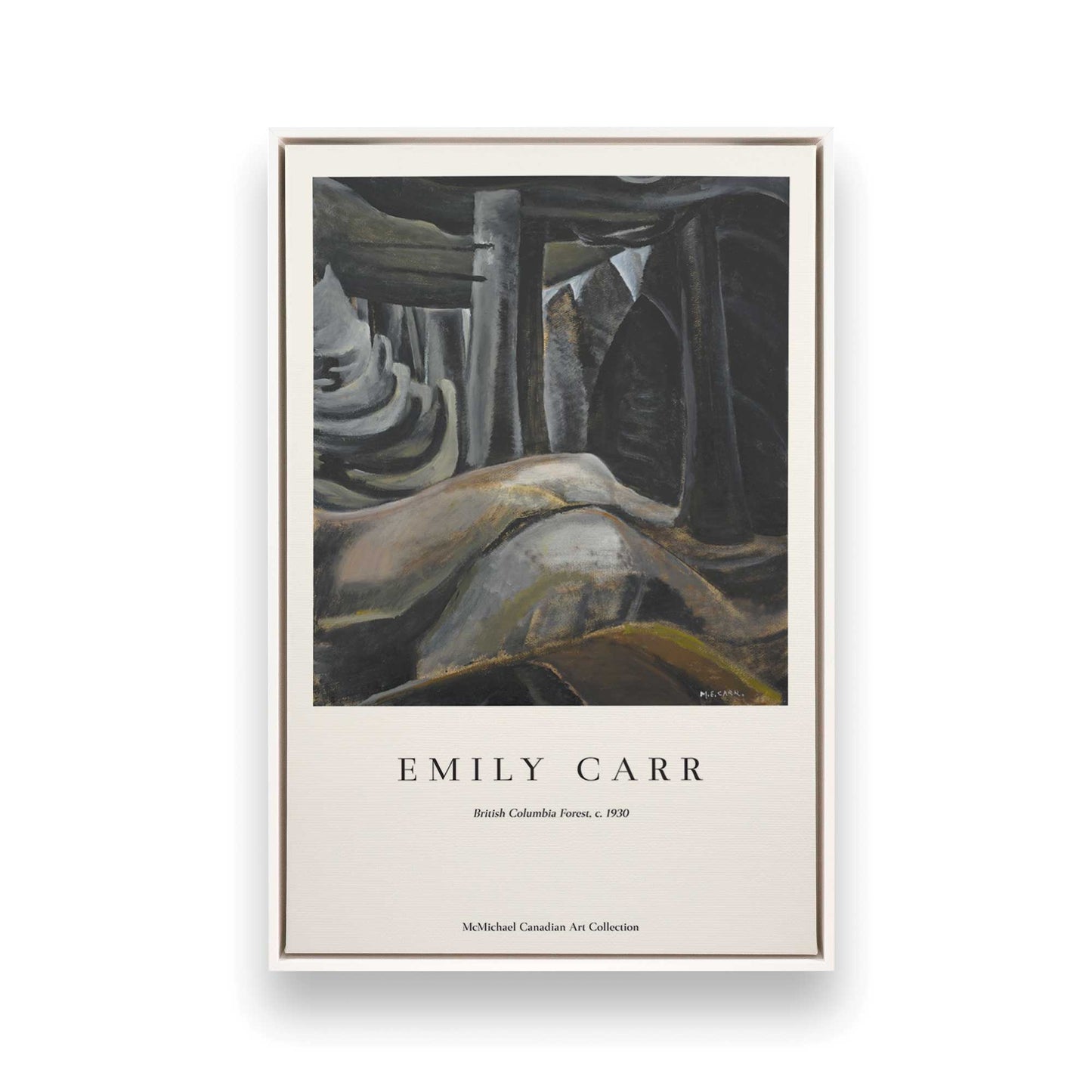 [Color:Opaque White], Picture of art in a White frame