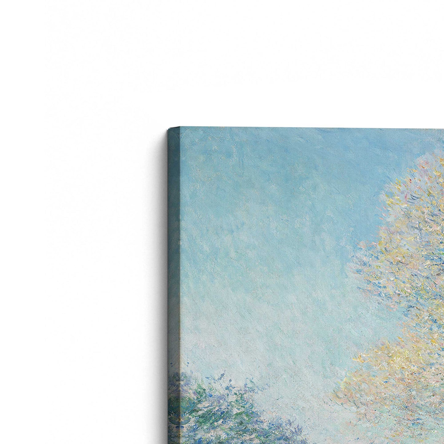 [Color:Stretched Canvas], Picture of the corner of the art