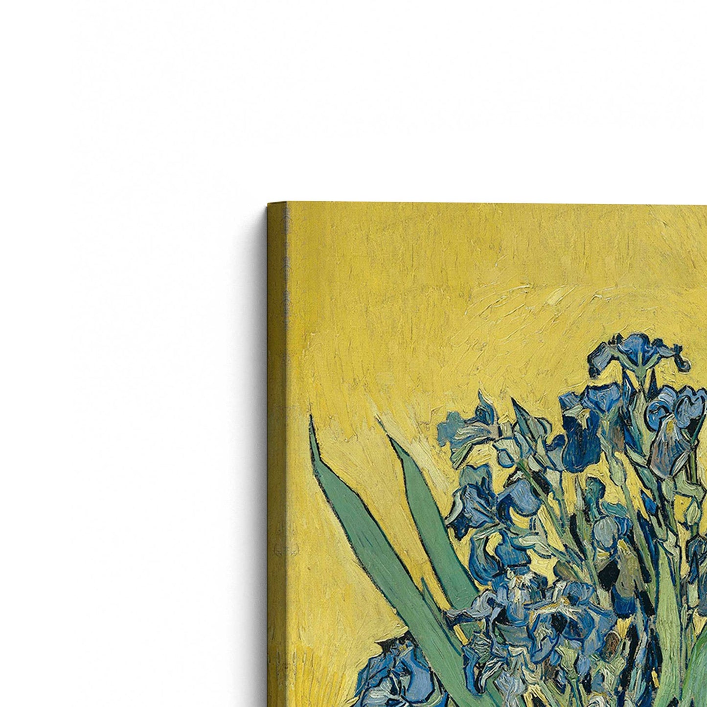 [Color:Stretched Canvas], Picture of the corner of the art