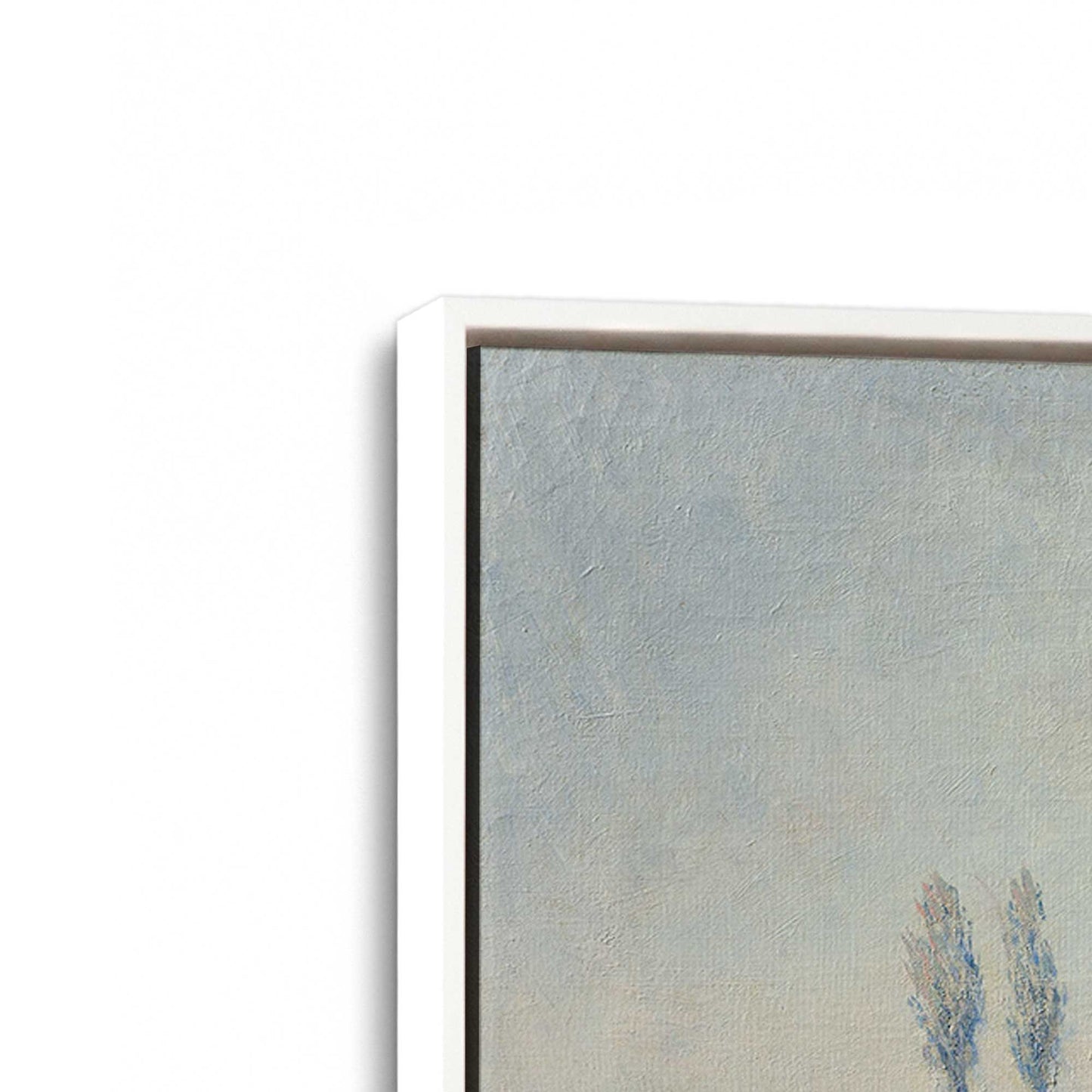 [Color:Opaque White], Picture of art in a White frame at an angle