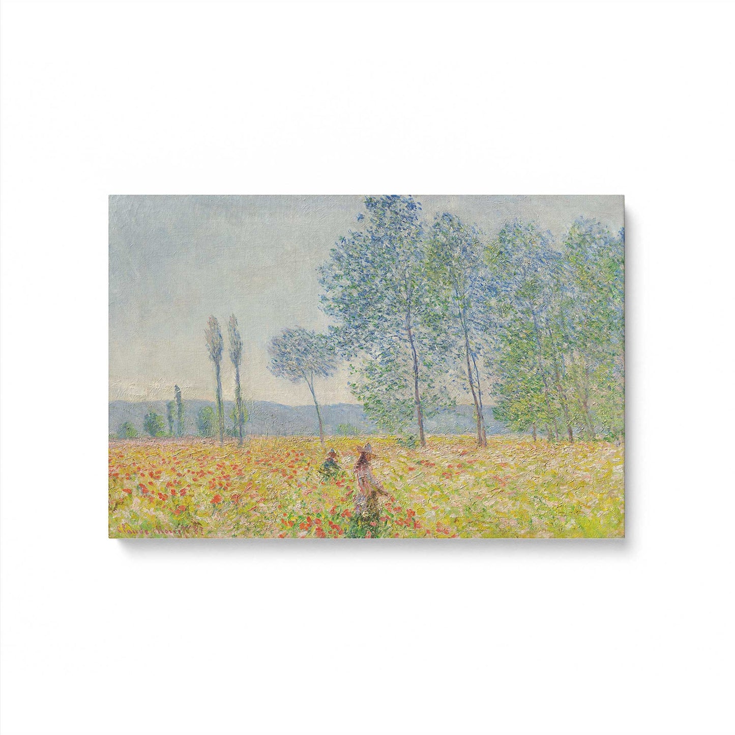 [Color:Stretched Canvas], Picture of art
