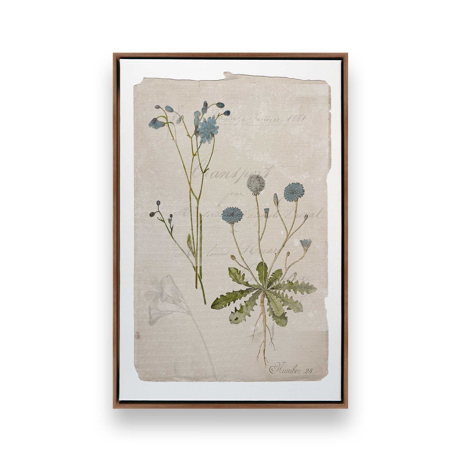 [Color:Walnut], Picture of art in a Walnut frame