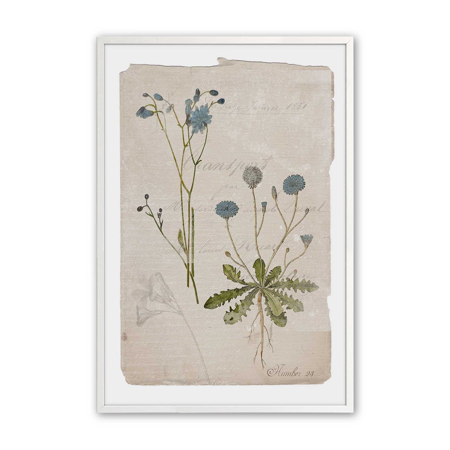[Color:Opaque White], Picture of art in a Opaque White frame