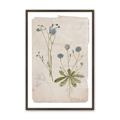 [Color:Belvinder Brown], Picture of art in a Belvinder Brown frame