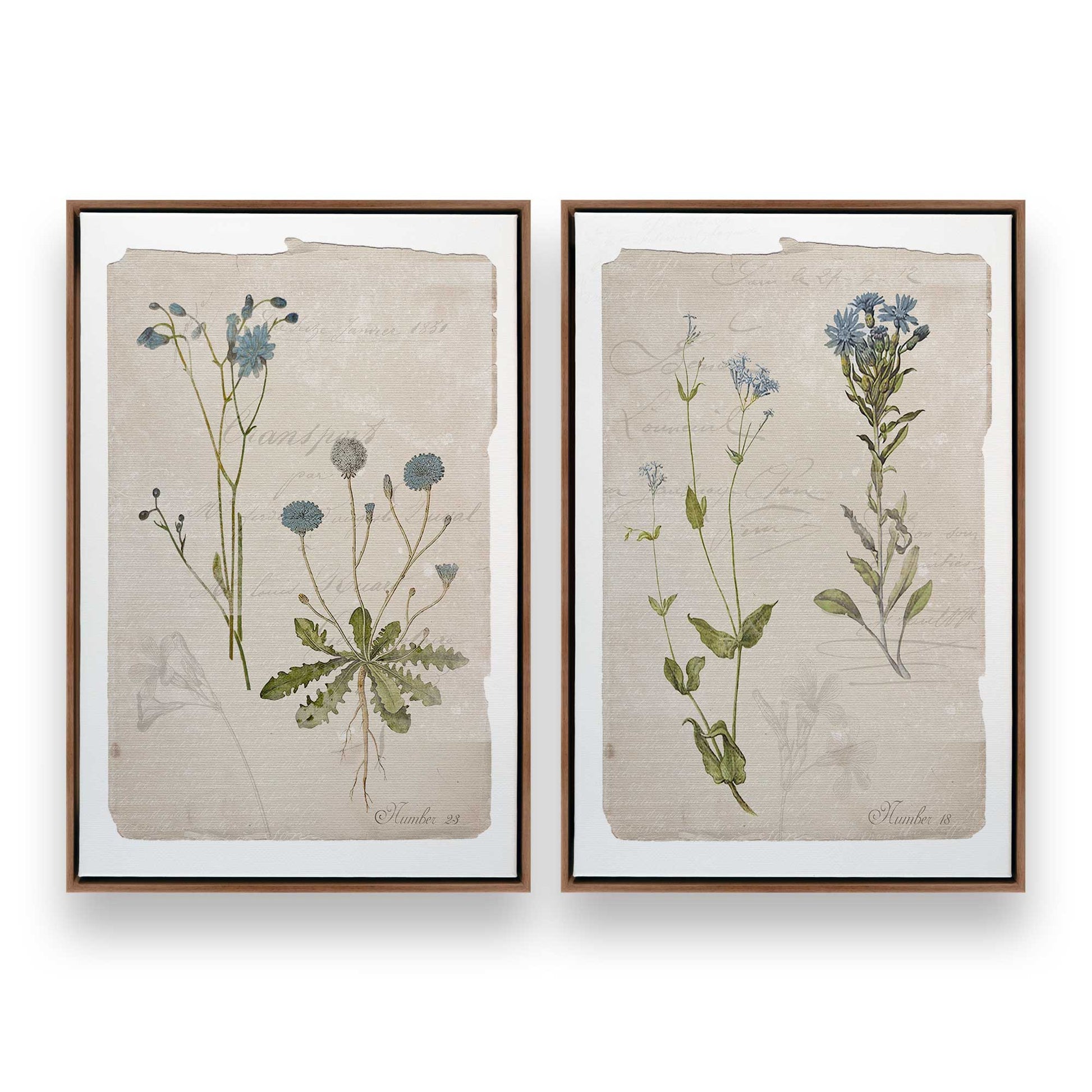 [Color:Walnut], Picture of art in a Walnut frame