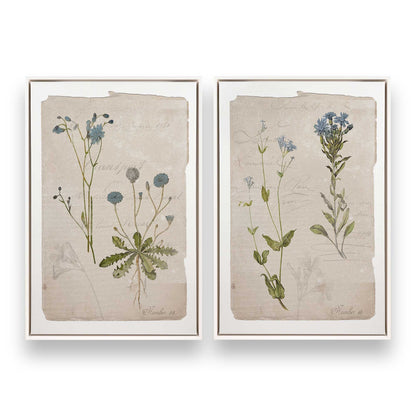 [Color:Opaque White], Picture of art in a White frame