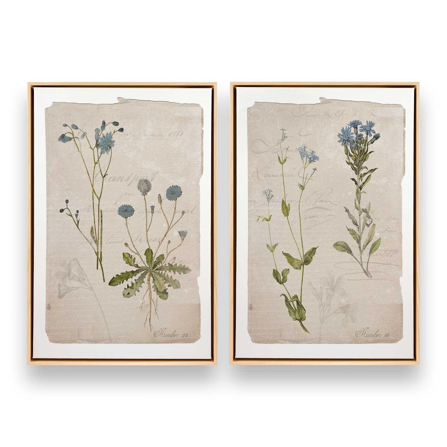 [Color:American Maple], Picture of art in a American Maple frame