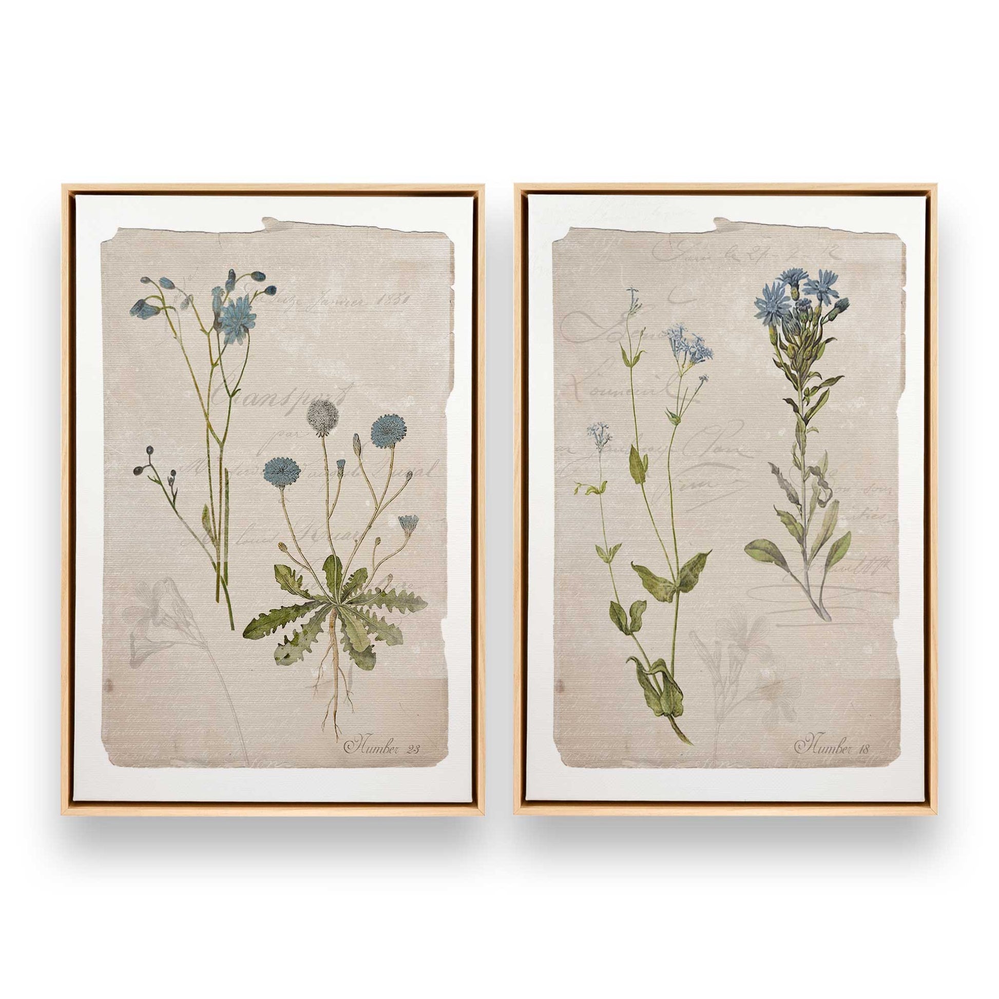 [Color:American Maple], Picture of art in a American Maple frame