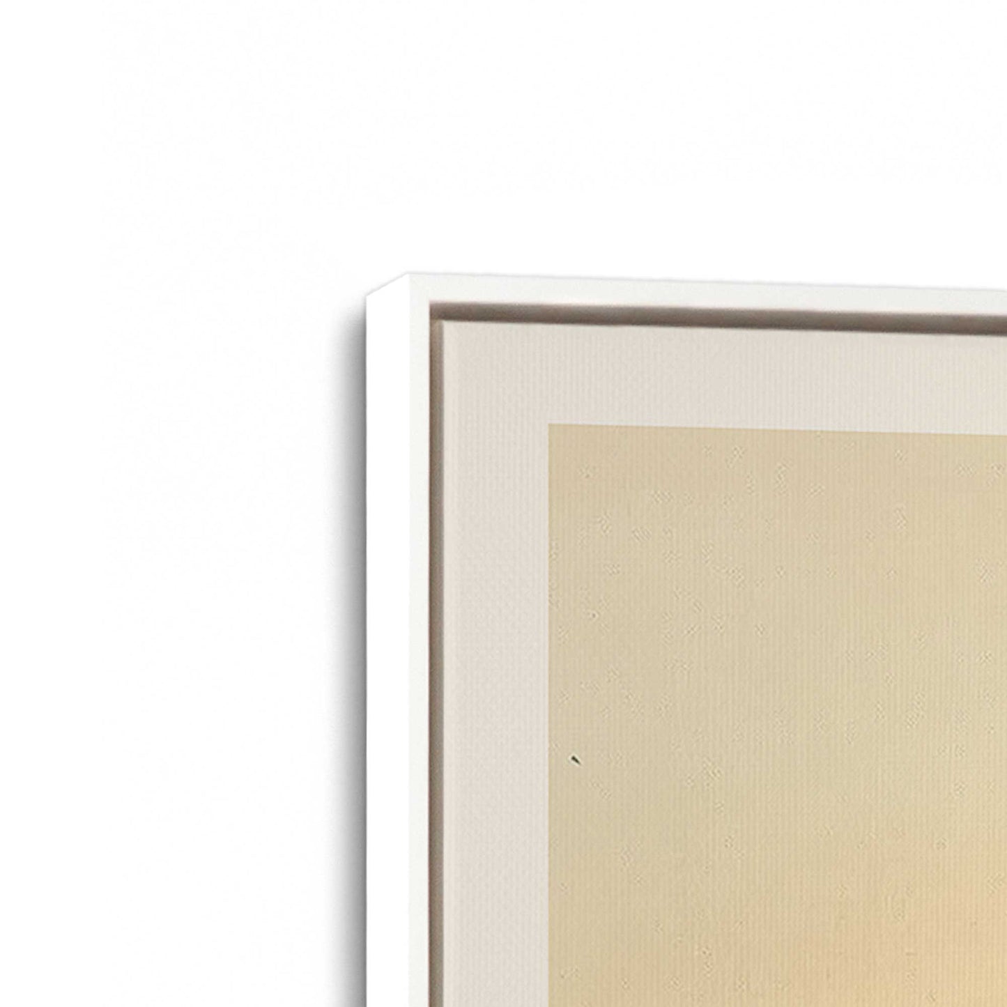 [Color:Opaque White], Picture of art in a White frame at an angle