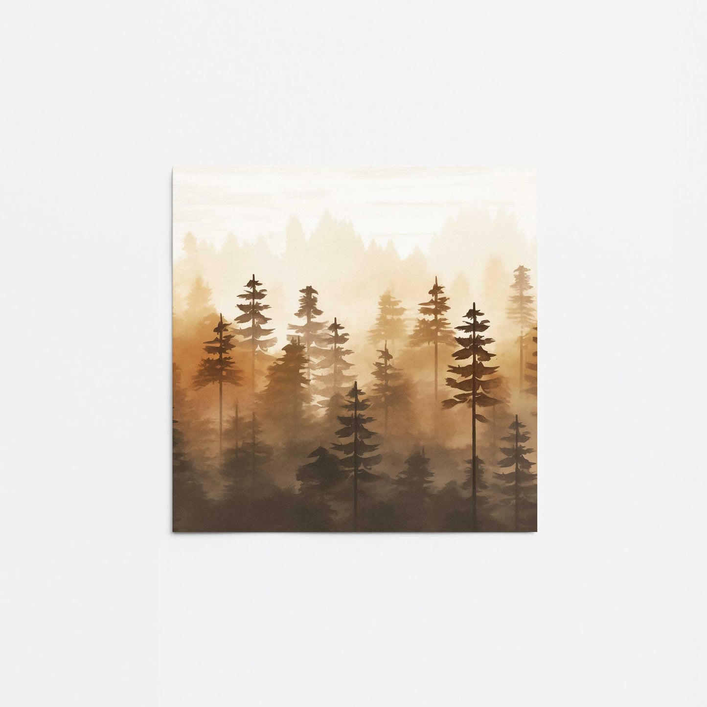 Forest at Golden Hour Promotional Rolled Print