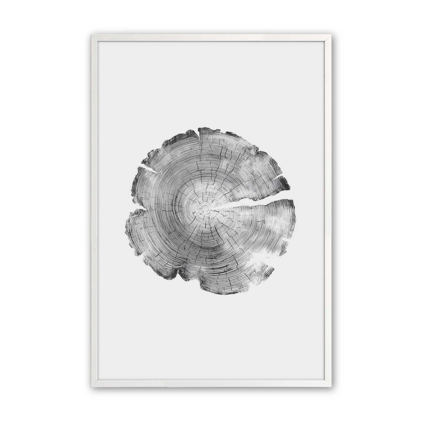[Color:Opaque White], Picture of art in a Opaque White frame