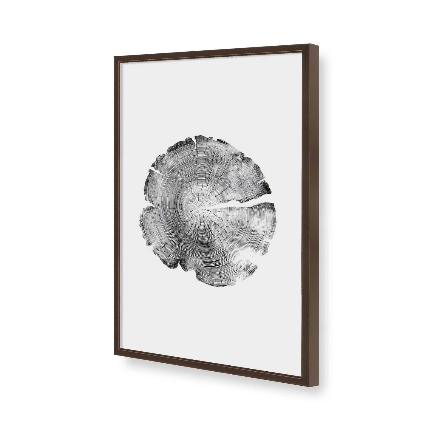 [Color:Belvinder Brown], Picture of art in a Belvinder Brown frame of the corner