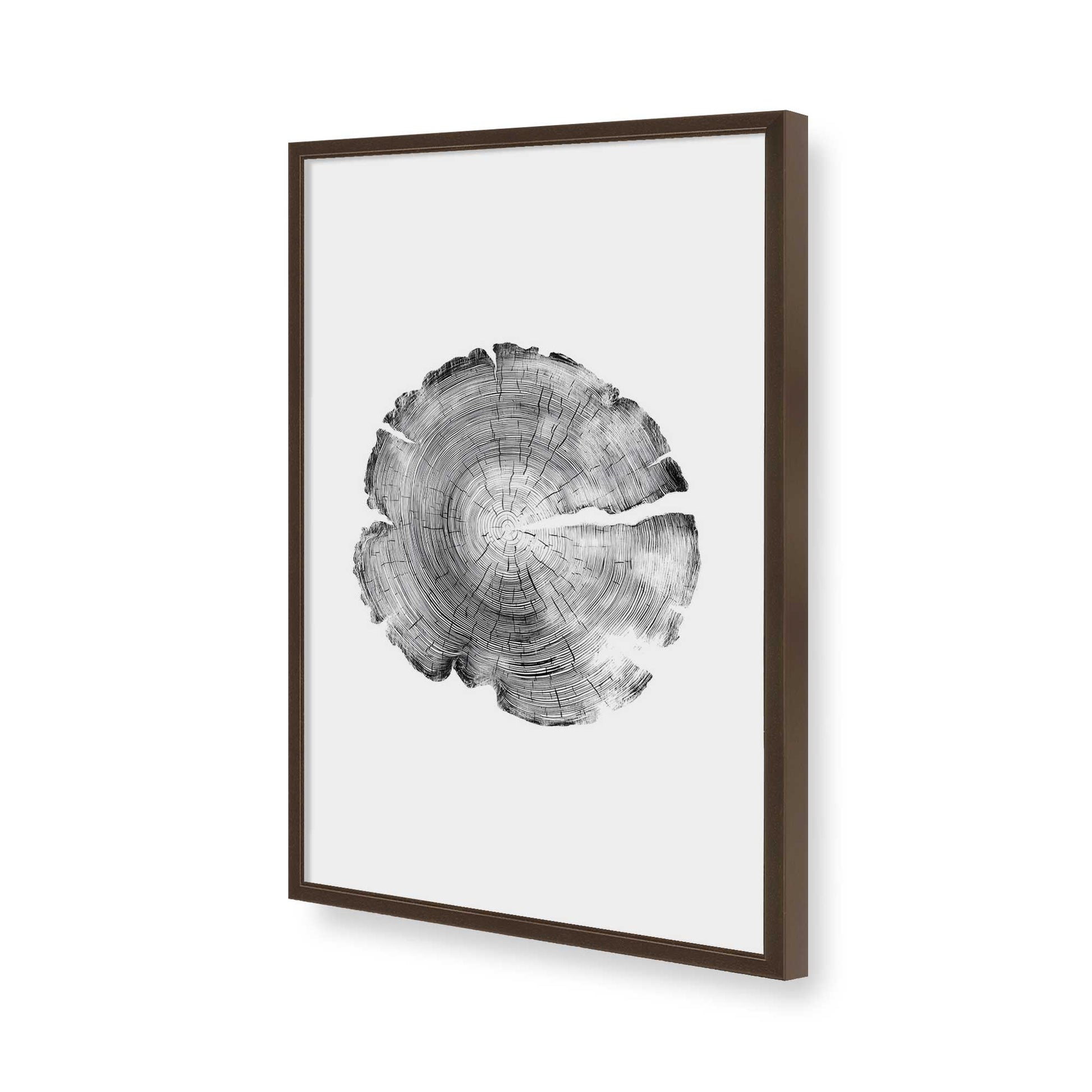 [Color:Belvinder Brown], Picture of art in a Belvinder Brown frame of the corner