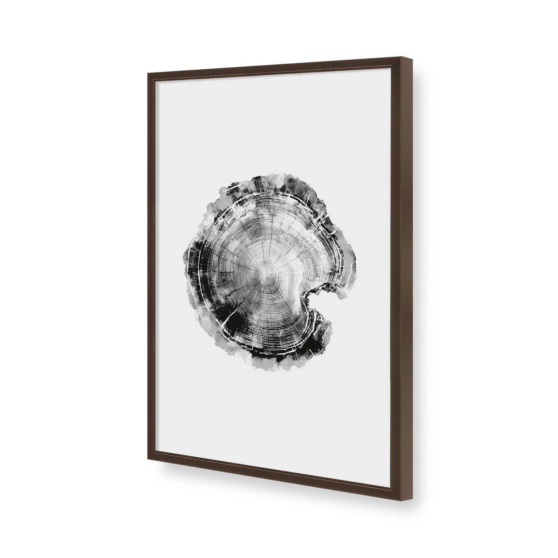 [Color:Belvinder Brown], Picture of art in a Belvinder Brown frame of the corner