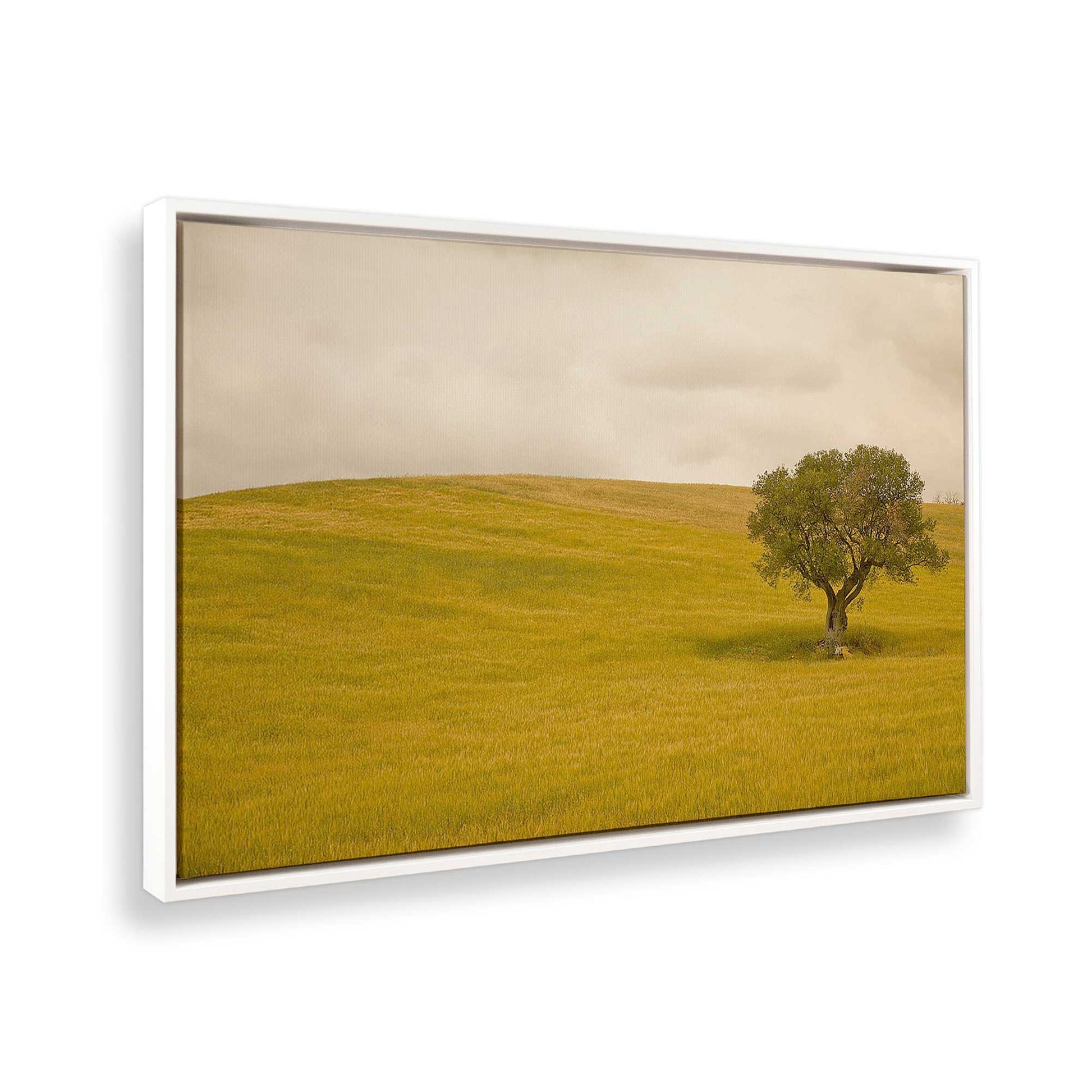 [Color:White], Picture of the corner of the art