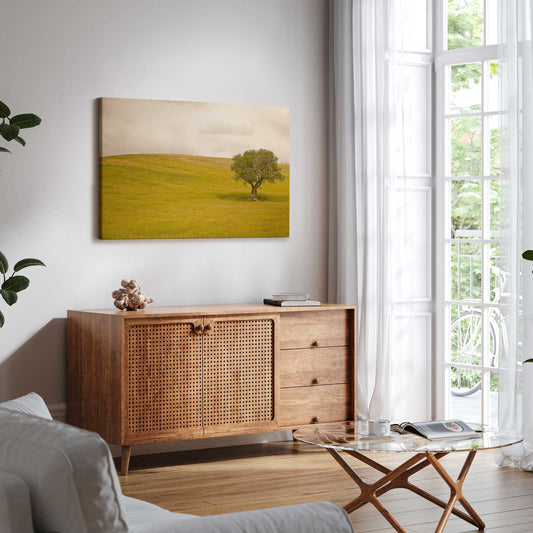 [LIFESTYLE], Picture of art in a room