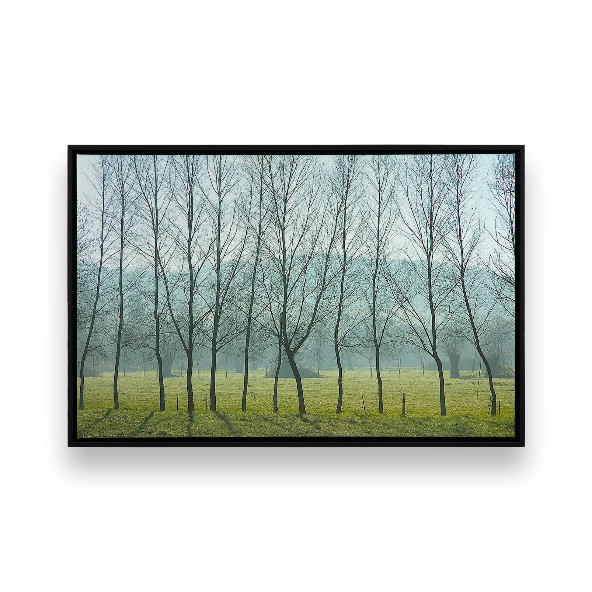 Picture of art in a Satin Black frame