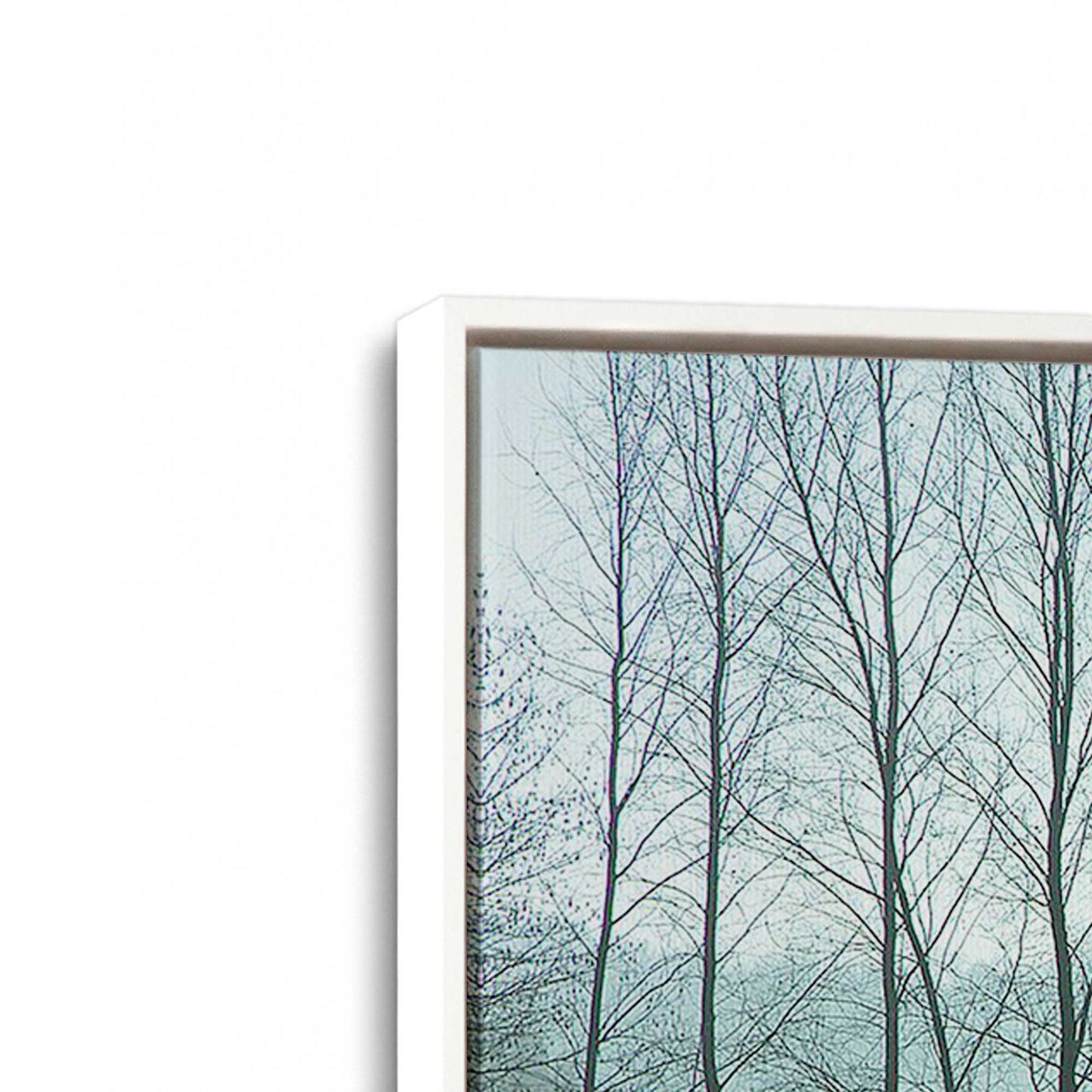 [Color:White], Picture of art in a White frame at an angle