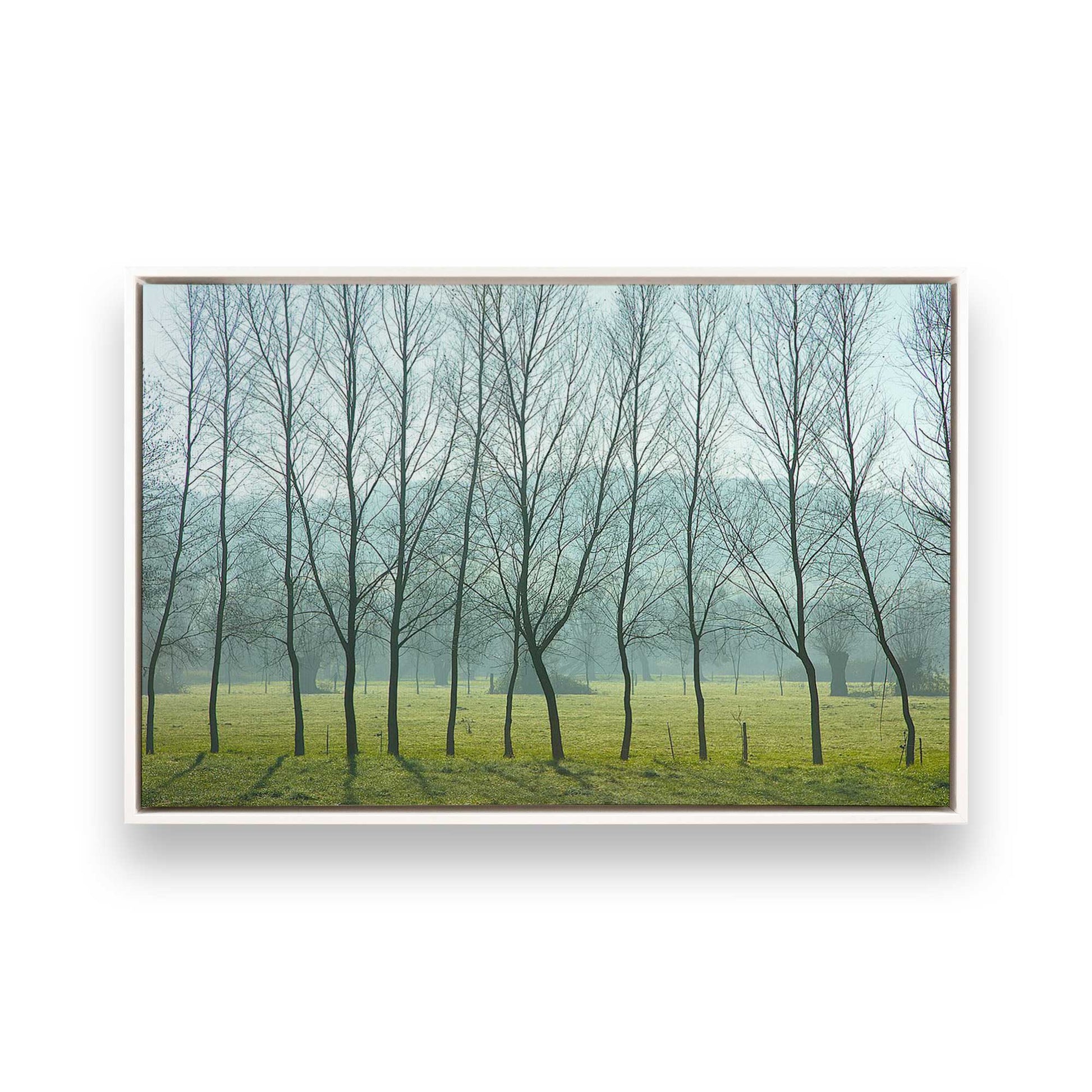 [Color:White], Picture of art in a White frame
