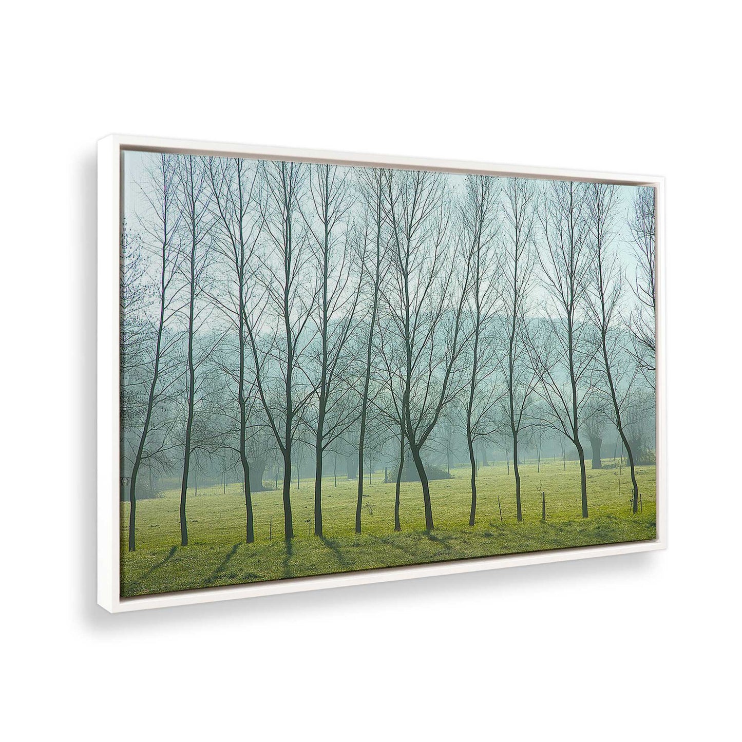 [Color:White], Picture of the corner of the art
