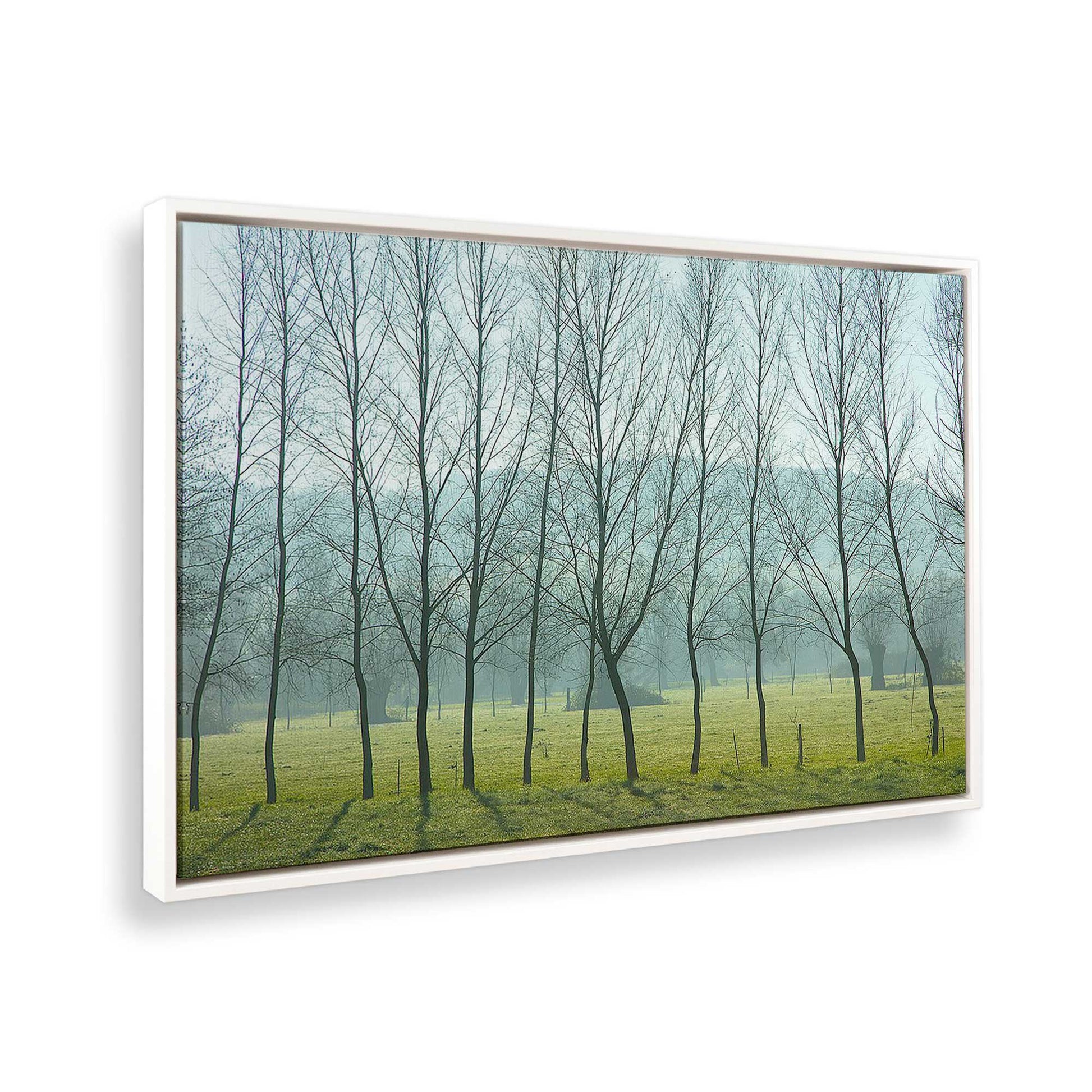 [Color:White], Picture of the corner of the art