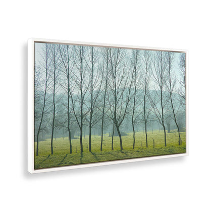 [Color:White], Picture of the corner of the art