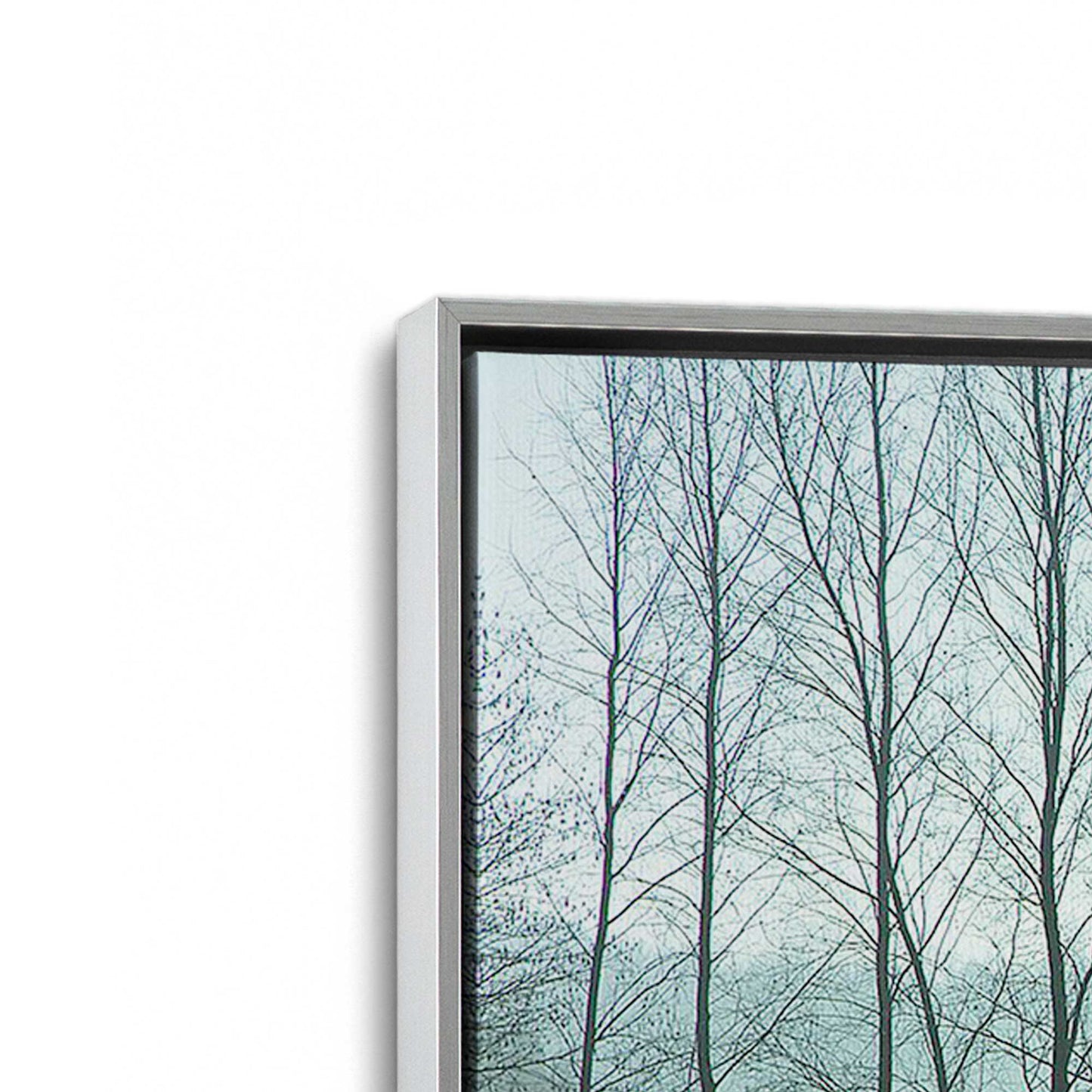 [Color:Polished Chrome], Picture of art in a Polished Chrome frame at an angle